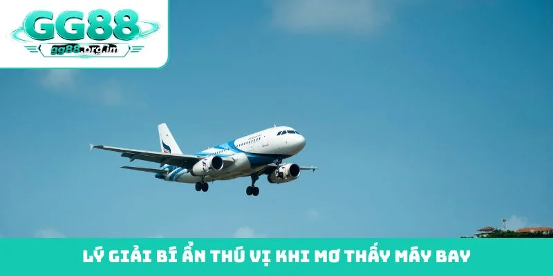 Lý giải bí ẩn thú vị khi mơ thấy máy bay